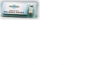 Influenza Equina